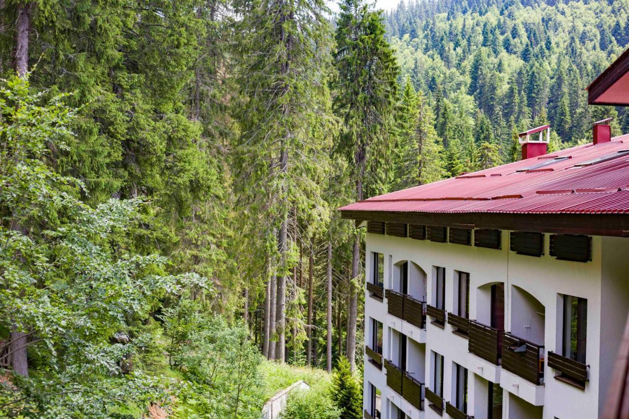 Forest Dream Apartment - Elit Pamporovo Bagian luar foto