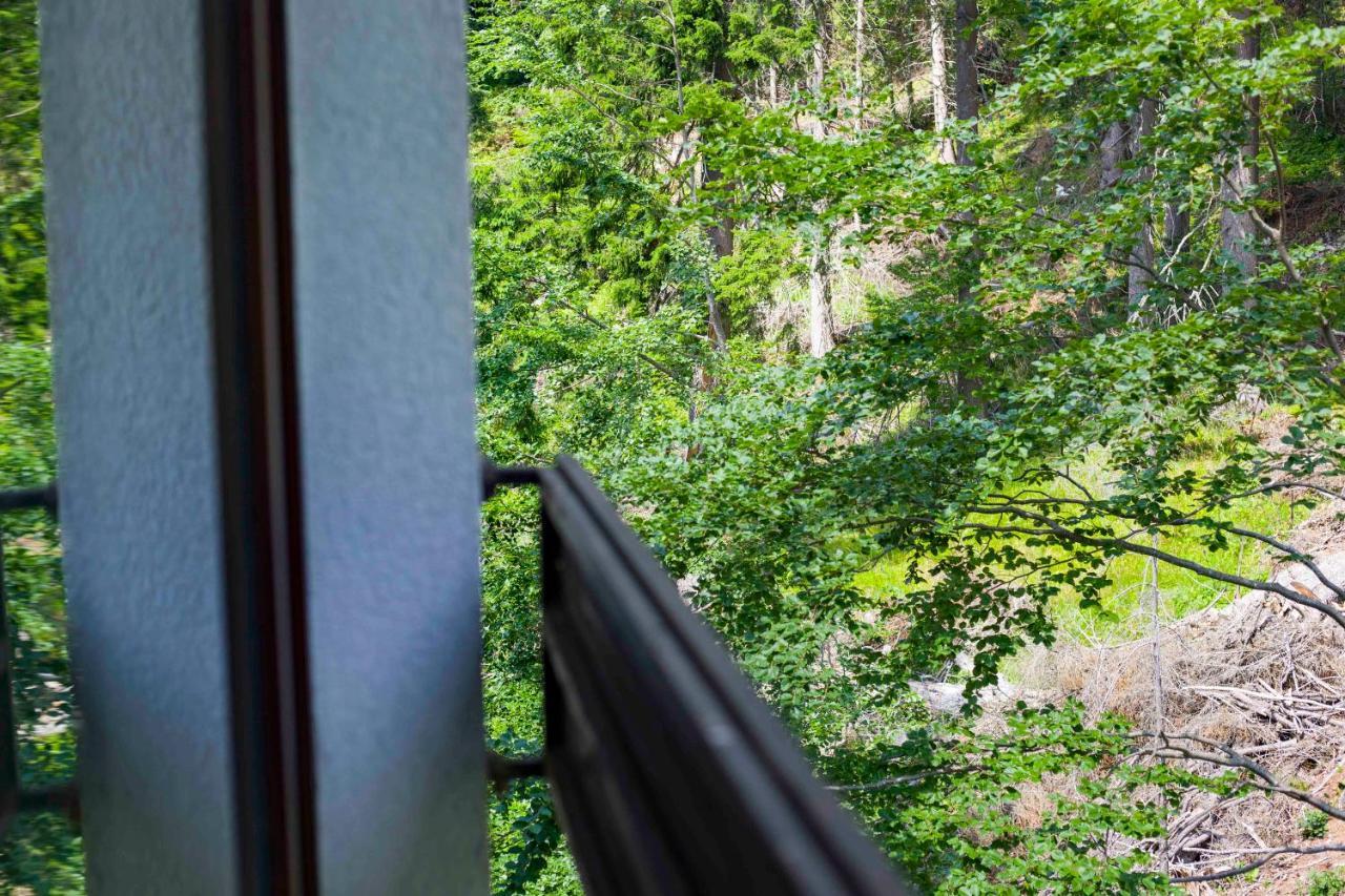 Forest Dream Apartment - Elit Pamporovo Bagian luar foto