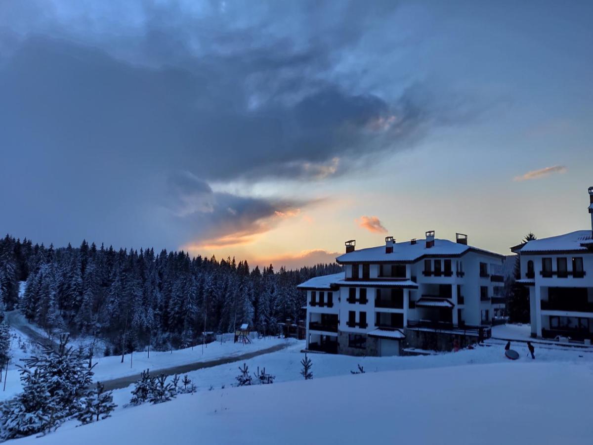 Forest Dream Apartment - Elit Pamporovo Bagian luar foto
