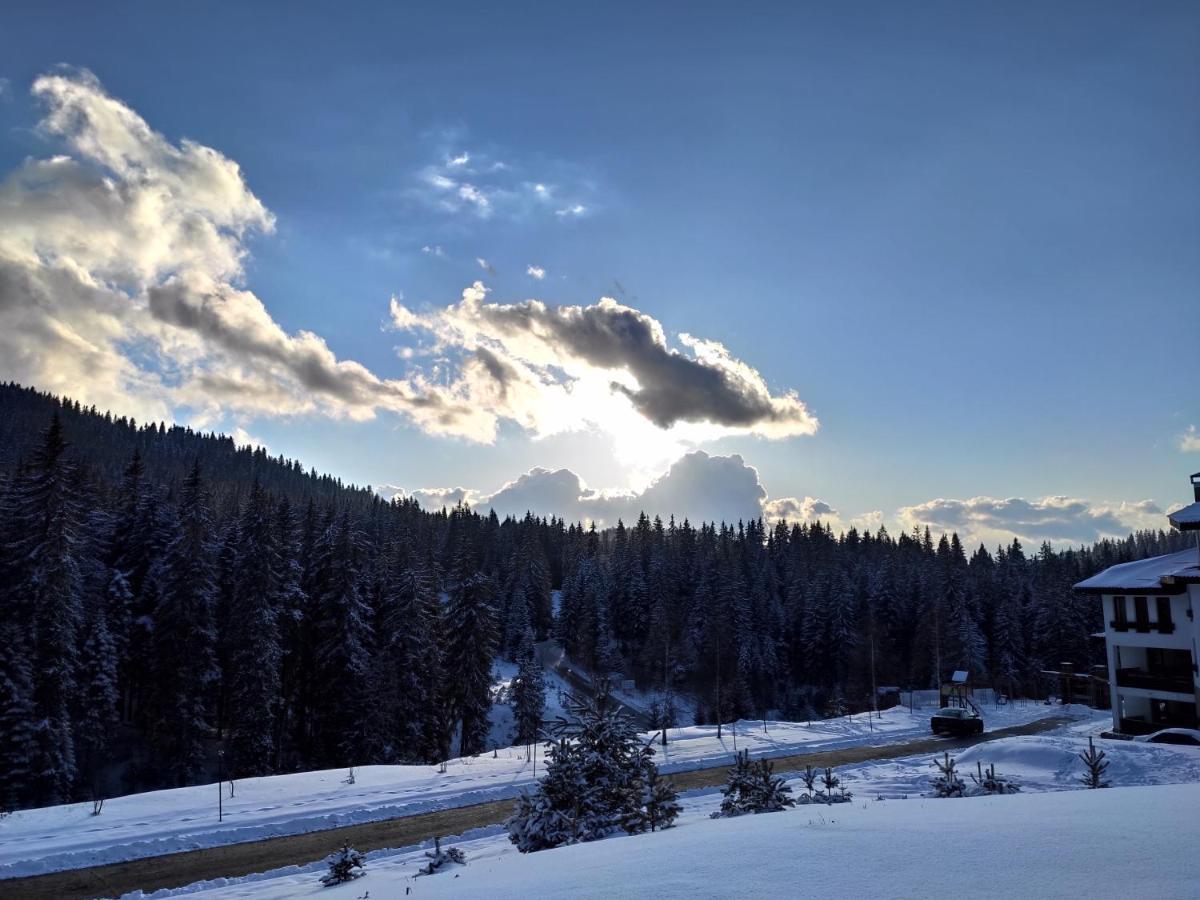 Forest Dream Apartment - Elit Pamporovo Bagian luar foto