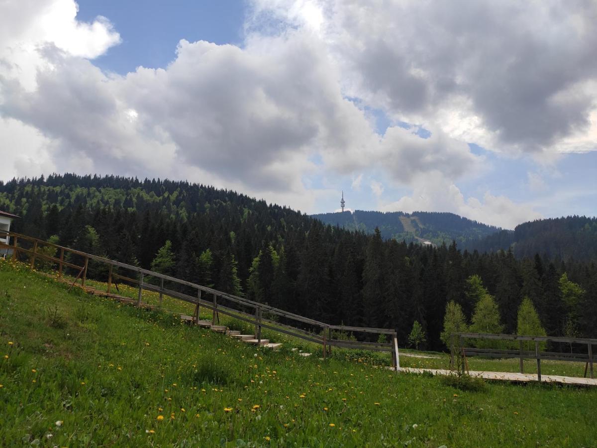 Forest Dream Apartment - Elit Pamporovo Bagian luar foto