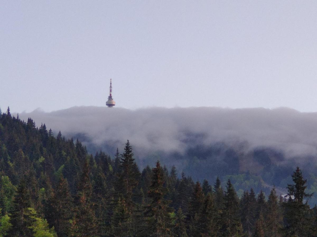 Forest Dream Apartment - Elit Pamporovo Bagian luar foto