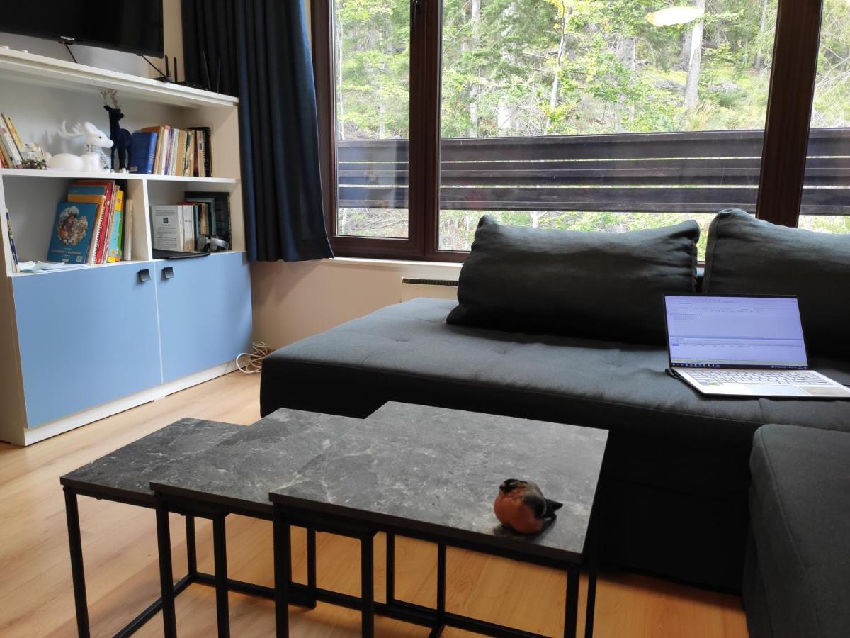 Forest Dream Apartment - Elit Pamporovo Bagian luar foto