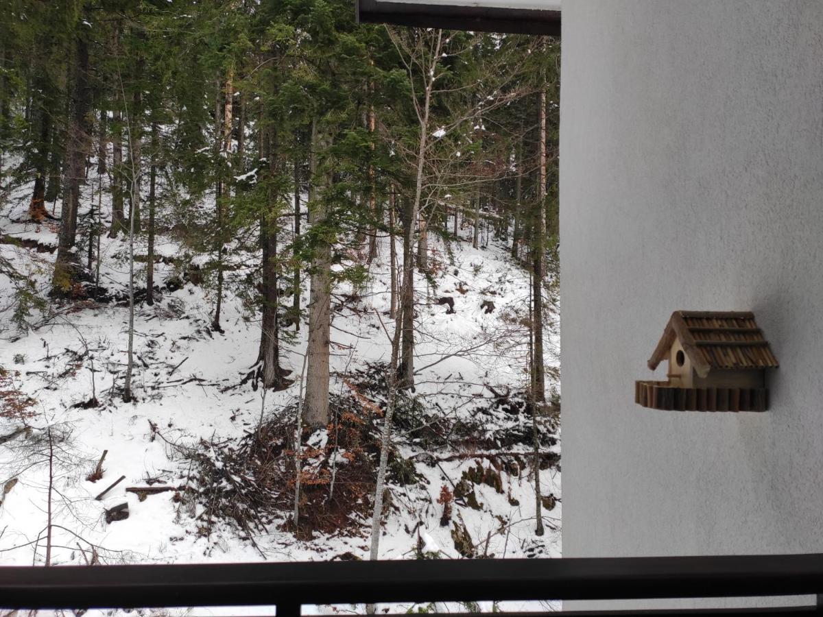 Forest Dream Apartment - Elit Pamporovo Bagian luar foto