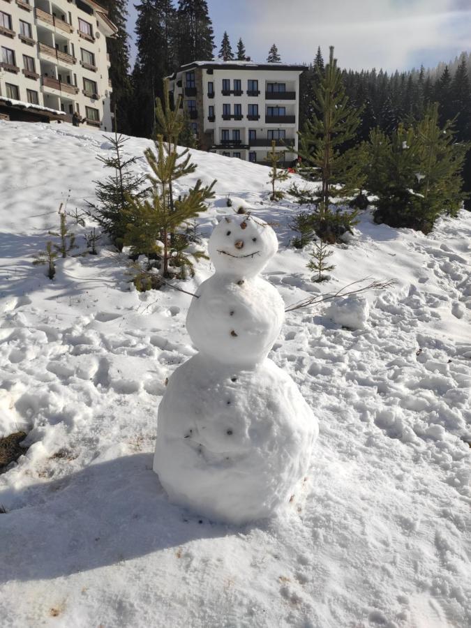 Forest Dream Apartment - Elit Pamporovo Bagian luar foto