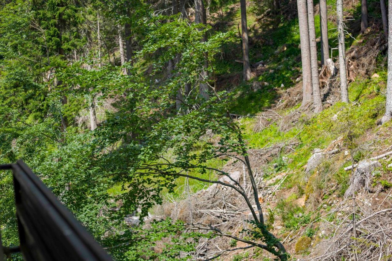 Forest Dream Apartment - Elit Pamporovo Bagian luar foto