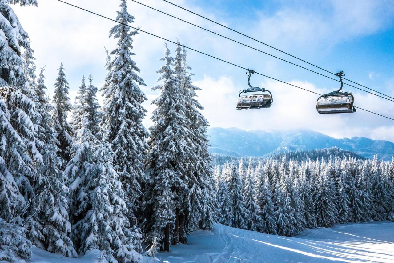 Forest Dream Apartment - Elit Pamporovo Bagian luar foto