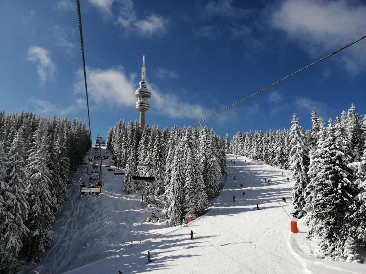 Forest Dream Apartment - Elit Pamporovo Bagian luar foto